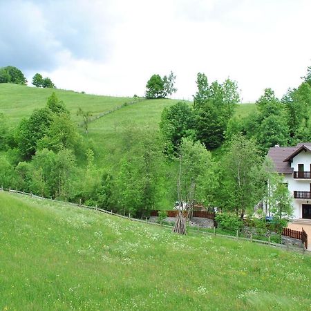 Villa La Craita Bran  Exterior foto